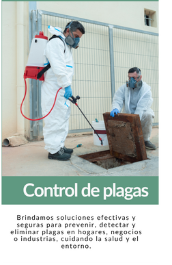 CONTROL DE PLAGAS