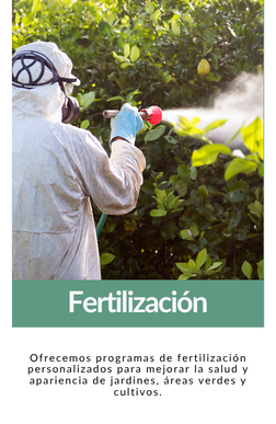 FERTILIZACIÓN