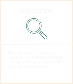 INSPECCION
