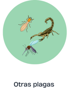 OTRAS-PLAGAS