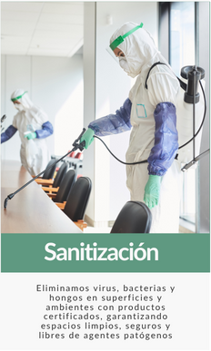 Sanitización