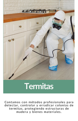 TERMITAS
